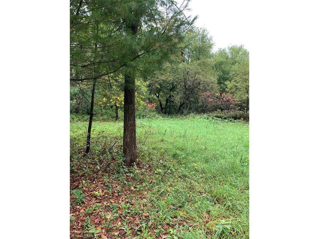 TBD Shoreline Drive Little Falls MN 56345 - Mississippi 6824169 image3