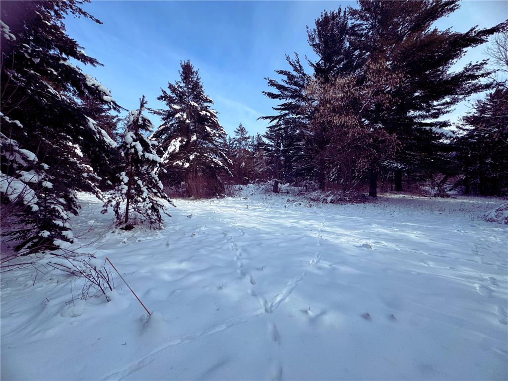 TBD Shoreline Drive Little Falls MN 56345 - Mississippi 6824169 image7