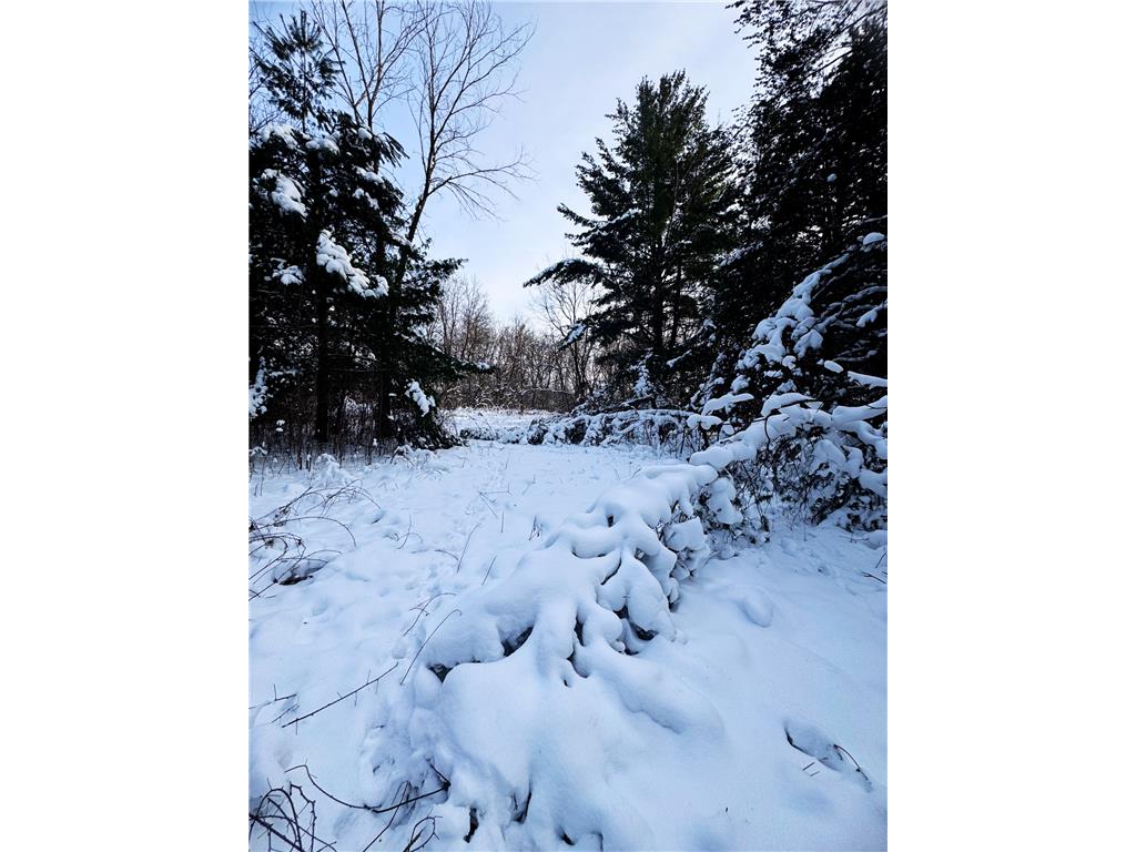 TBD Shoreline Drive Little Falls MN 56345 - Mississippi 6824169 image8