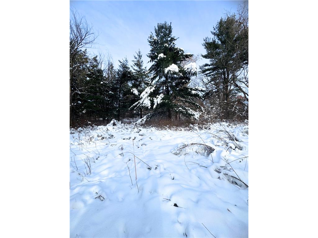 TBD Shoreline Drive Little Falls MN 56345 - Mississippi 6824169 image9