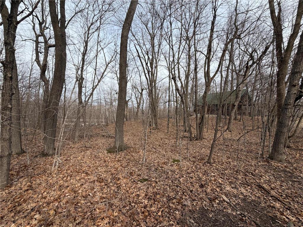 TBD Short Putt Garrison MN 56450 7044472 image12