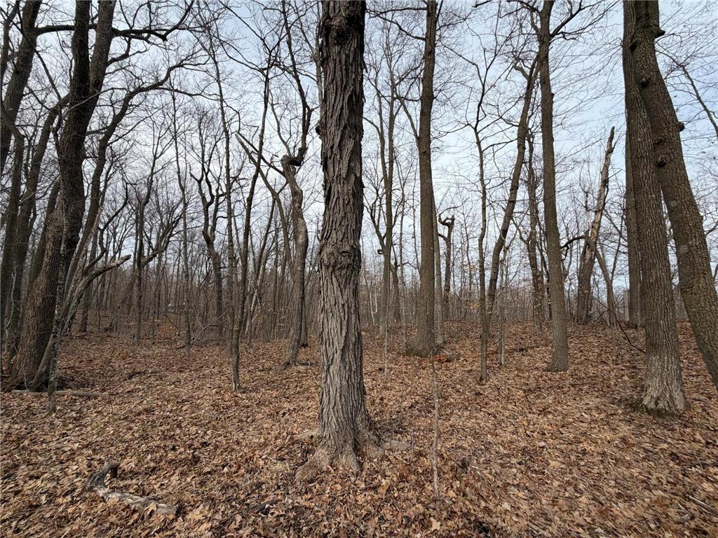 TBD Short Putt Garrison MN 56450 7044472 image14