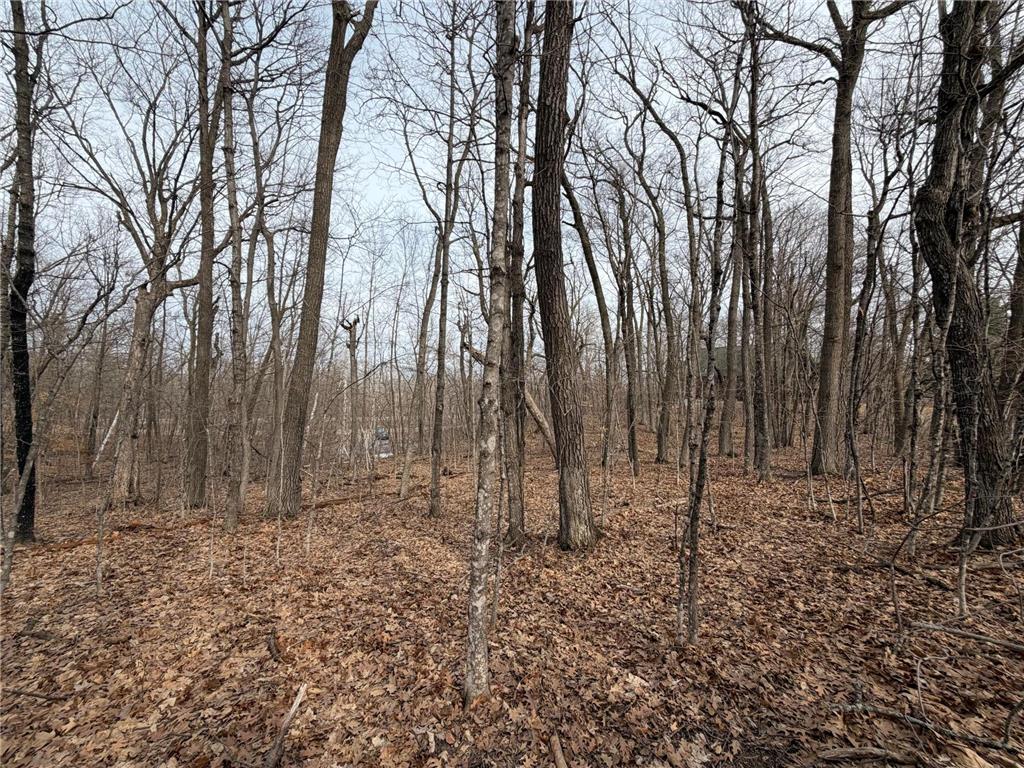 TBD Short Putt Garrison MN 56450 7044472 image6