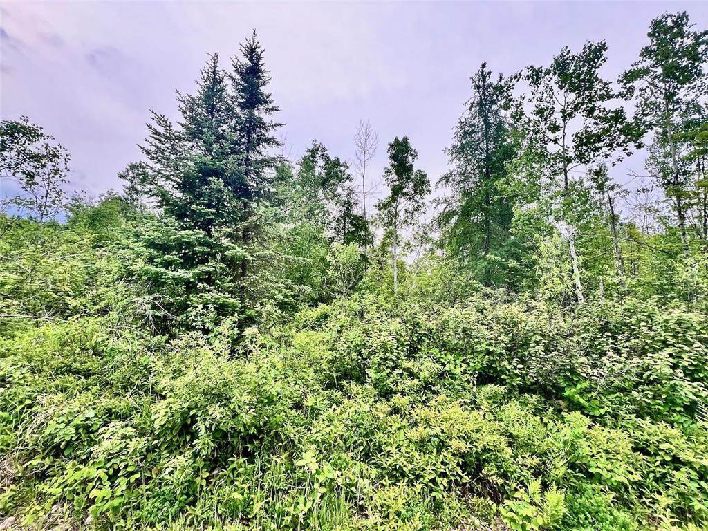 TBD Shuster Rd Portage Twp MN 55771 6738783 image1