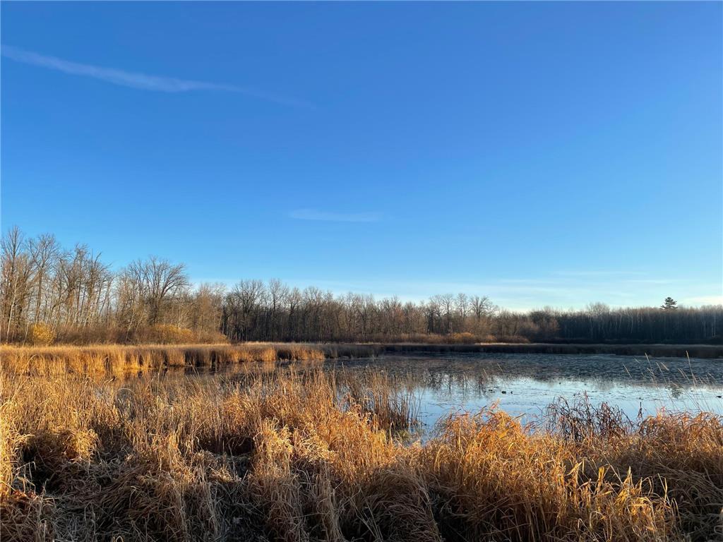 TBD Silver Brook Road Farden Twp MN 56633 6493659 image1