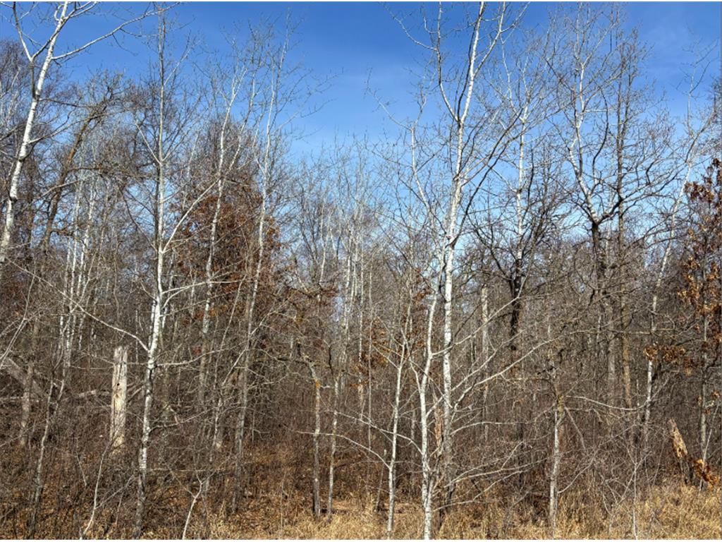 TBD Ski Chalet Drive Breezy Point MN 56472 6683862 image1