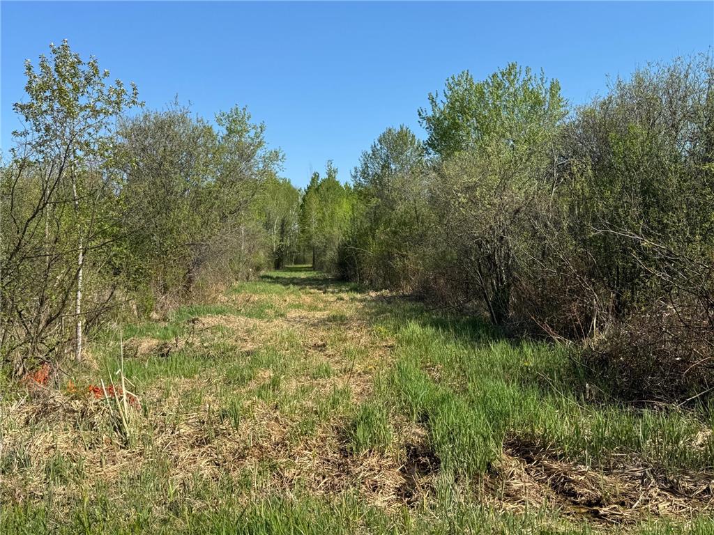 TBD Skog Road Kettle River MN 55757 6720834 image10