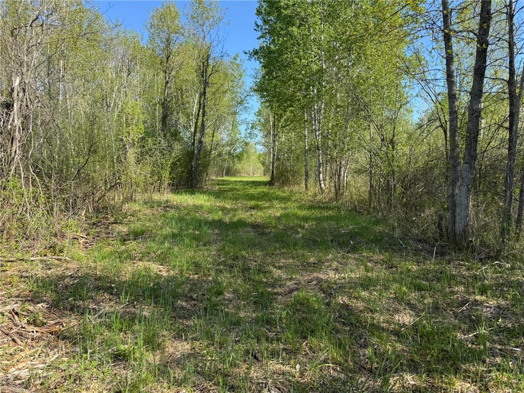 TBD Skog Road Kettle River MN 55757 6720834 image11