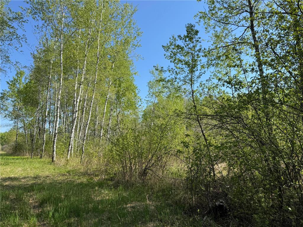 TBD Skog Road Kettle River MN 55757 6720834 image13