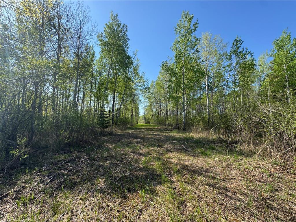 TBD Skog Road Kettle River MN 55757 6720834 image14