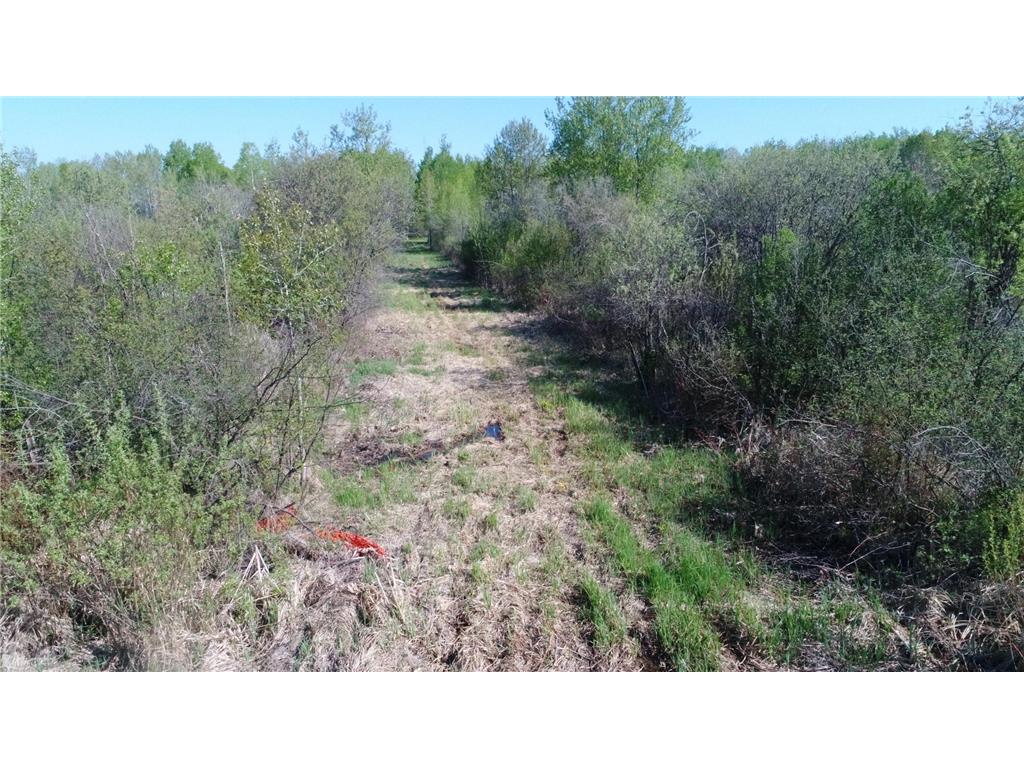 TBD Skog Road Kettle River MN 55757 6720834 image17