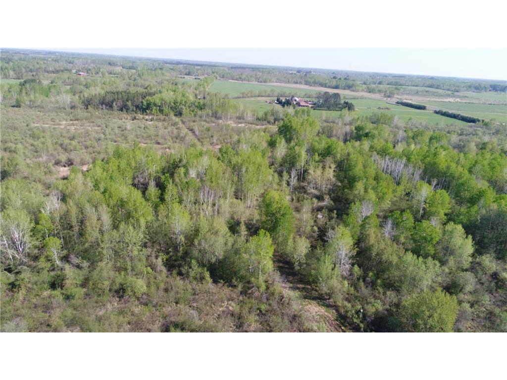 TBD Skog Road Kettle River MN 55757 6720834 image18