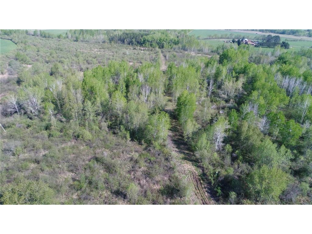 TBD Skog Road Kettle River MN 55757 6720834 image19