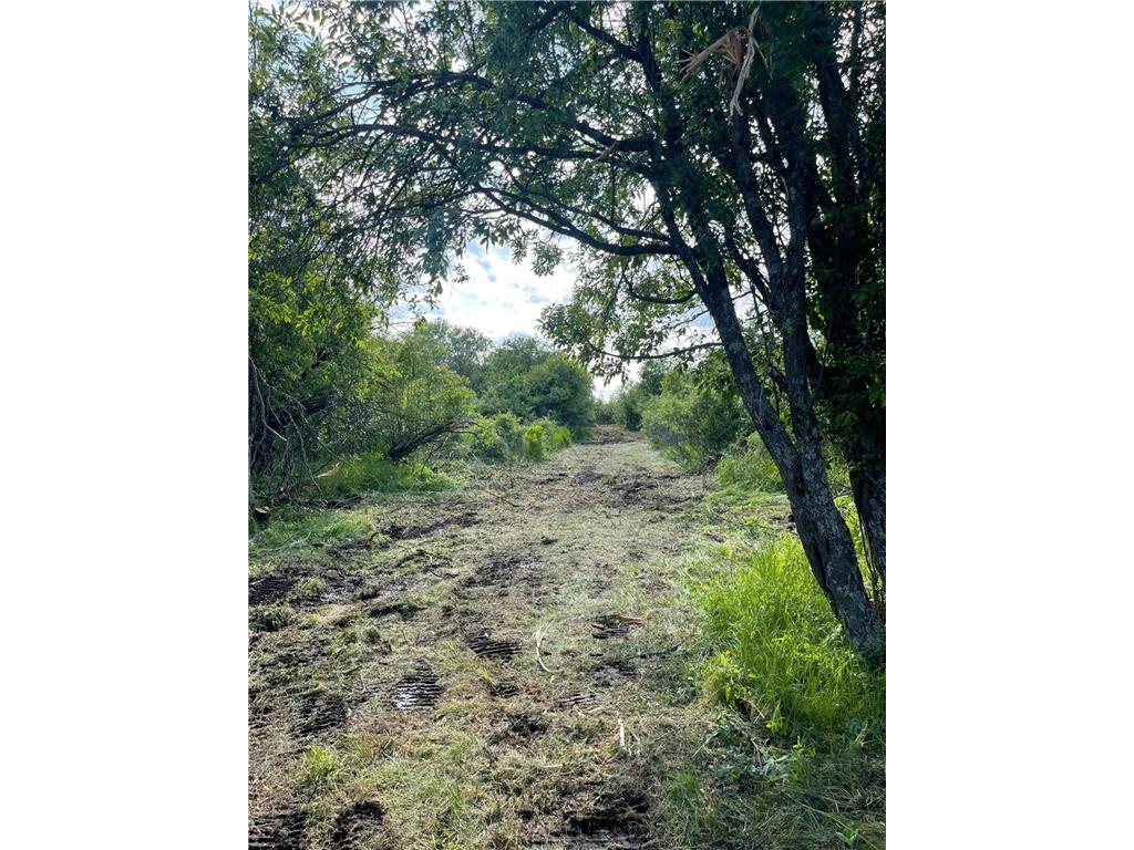 TBD Skog Road Kettle River MN 55757 6720834 image2