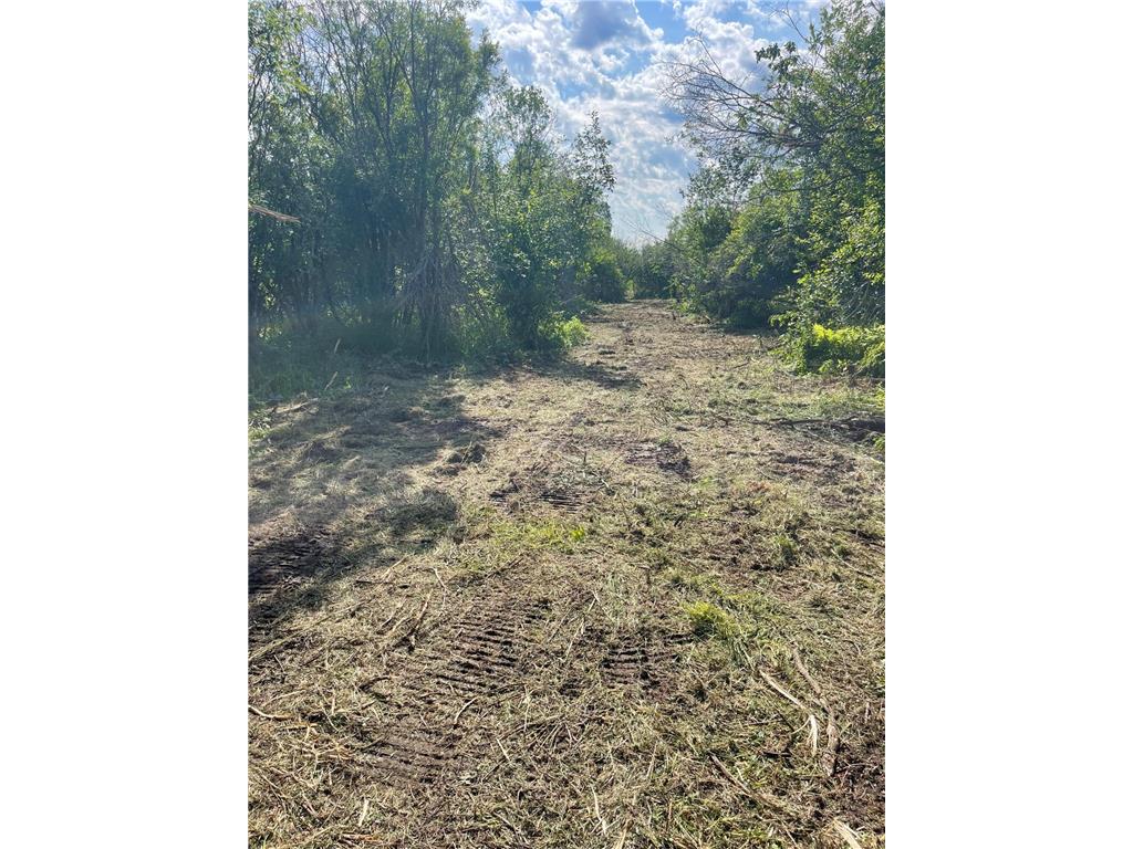 TBD Skog Road Kettle River MN 55757 6720834 image3