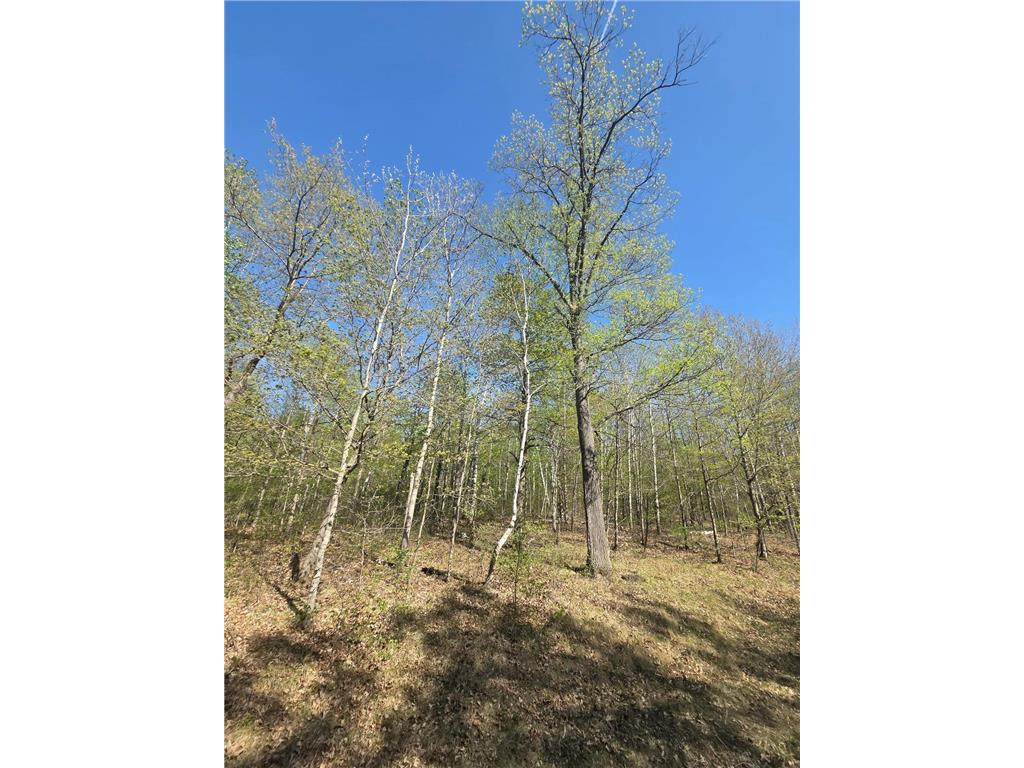 TBD Skyline Drive Helga Twp MN 56601 6719678 image1