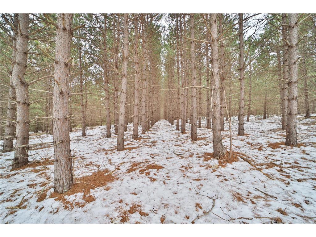 TBD Sleepy Hollow Road Brainerd MN 56449 7049726 image1