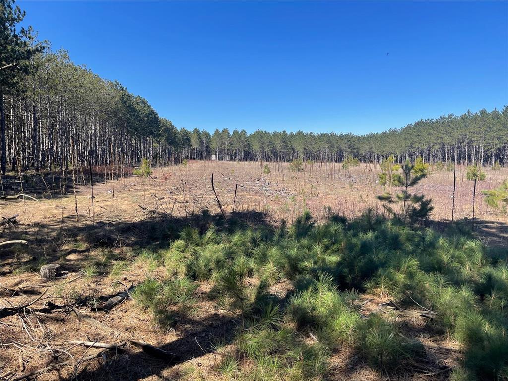 XXXX Sleepy Hollow Road Fort Ripley MN 56449 6363419 image1