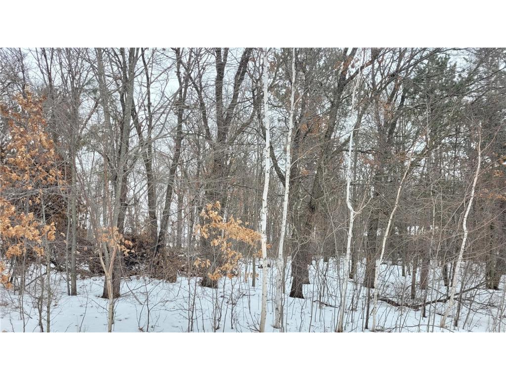 TBD* Snowshoe Trail Staples MN 56479 - Lawrence 7019116 image4