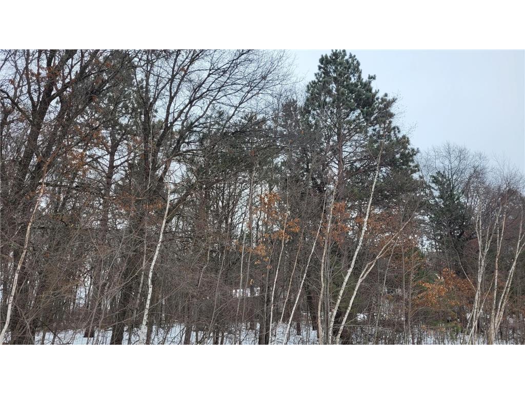 TBD* Snowshoe Trail Staples MN 56479 - Lawrence 7019116 image5