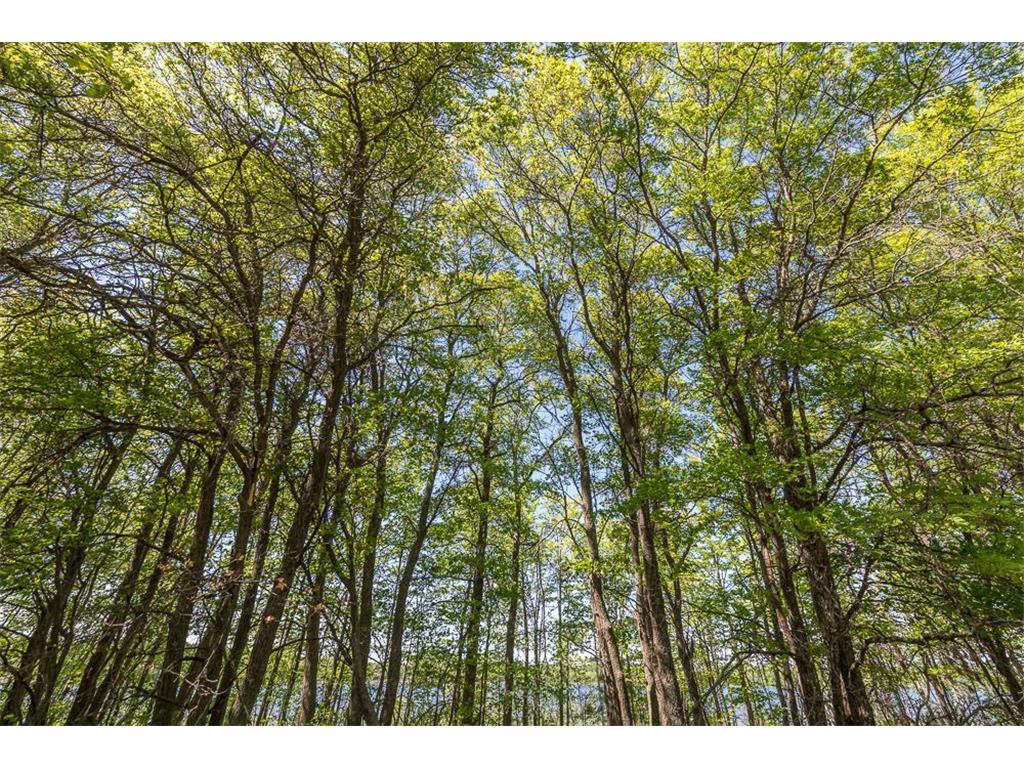 TBD Sorenson Lake Rd. Lake Edward Twp MN 56465 - Campbell Lake 7024976 image21