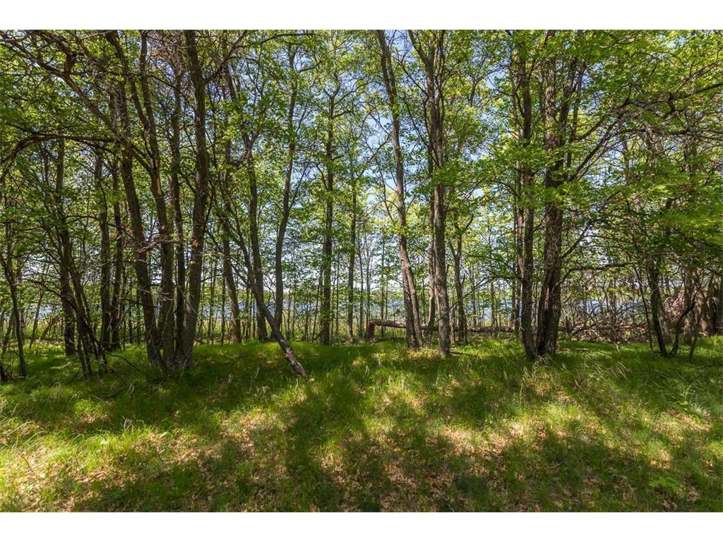 TBD Sorenson Lake Rd. Lake Edward Twp MN 56465 - Campbell Lake 7024976 image22