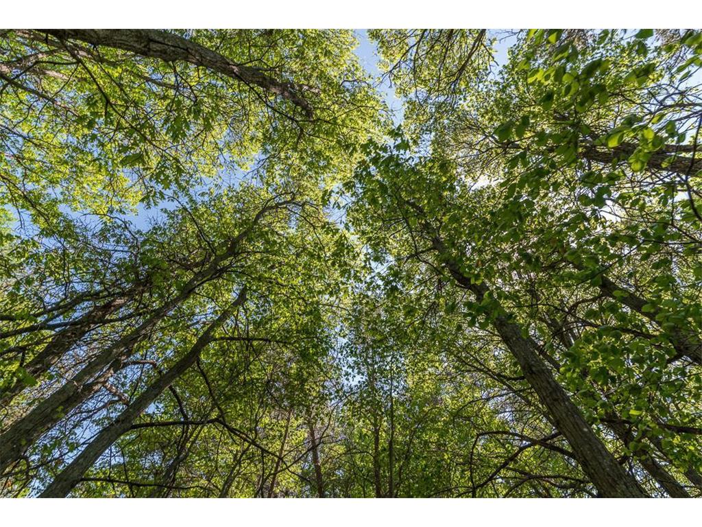TBD Sorenson Lake Rd. Lake Edward Twp MN 56465 - Campbell Lake 7024976 image23