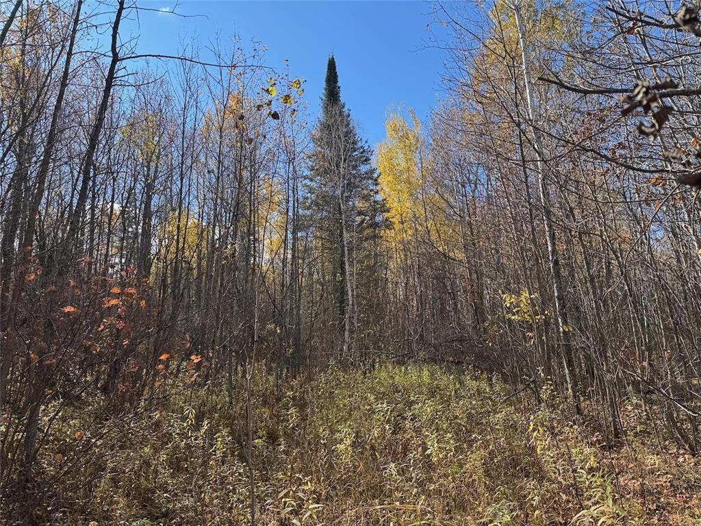 TBD Spangrud Court NE Waskish MN 56650 7040887 image10