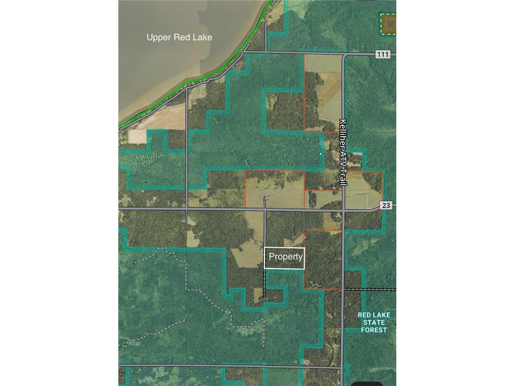 TBD Spangrud Court NE Waskish MN 56650 7040887 image2