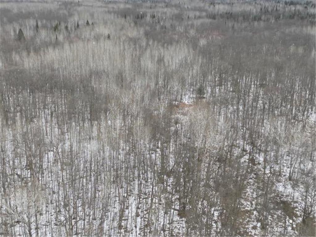 TBD Spangrud Court NE Waskish MN 56650 7040887 image4