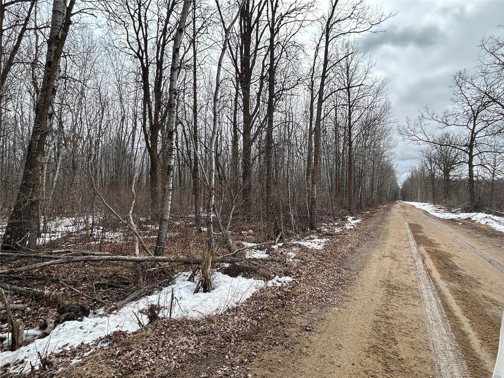 TBD Spangrud Court NE Waskish MN 56650 7040887 image6