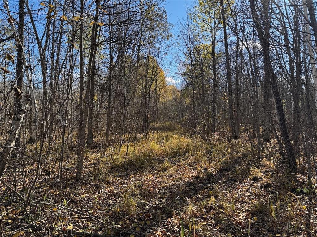 TBD Spangrud Court NE Waskish MN 56650 7040887 image7