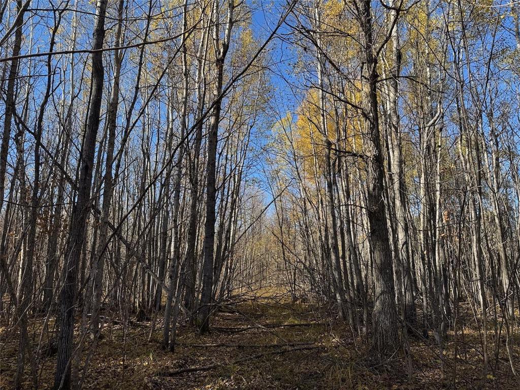 TBD Spangrud Court NE Waskish MN 56650 7040887 image8