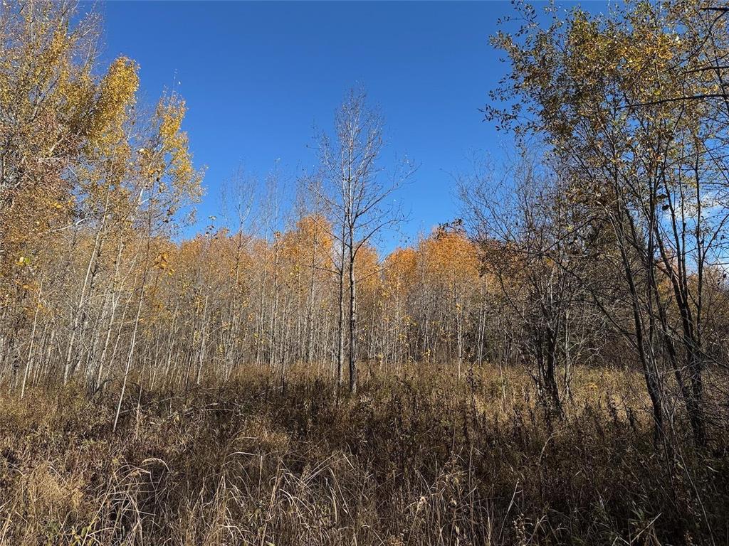 TBD Spangrud Court NE Waskish MN 56650 7040887 image9