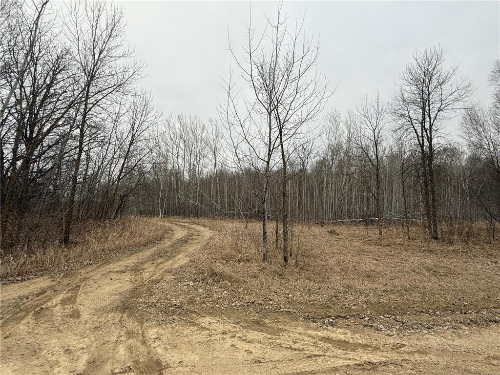TBD Spring Lake Road Holmesville Twp MN 56501 7057738 image1