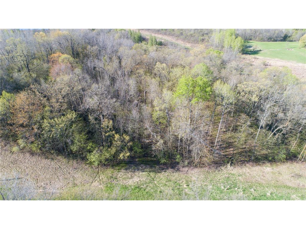 TBD Spring Lake Road NE North Branch MN 55056 6820477 image26