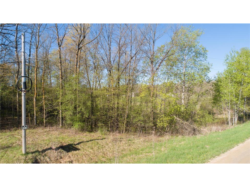 TBD Spring Lake Road NE North Branch MN 55056 6820477 image30