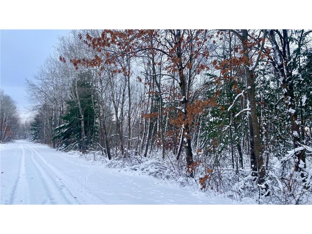 TBD Spruce Circle Roosevelt Twp MN 56450 6820797 image1