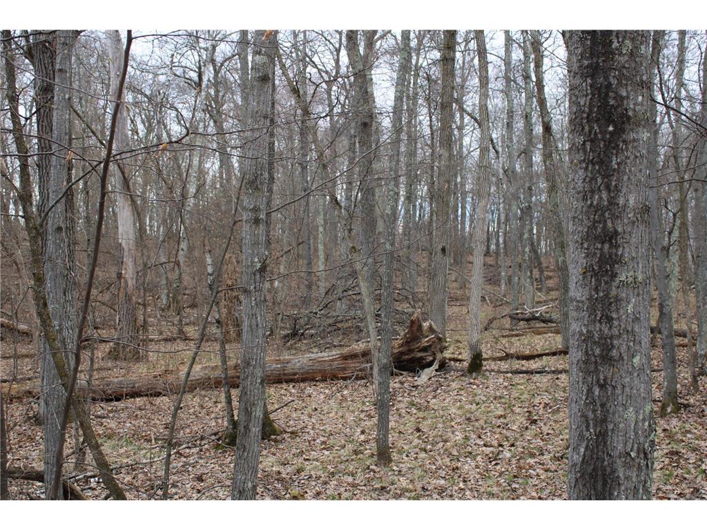 TBD St. Moritz Boulevard Breezy Point MN 56472 7062546 image1