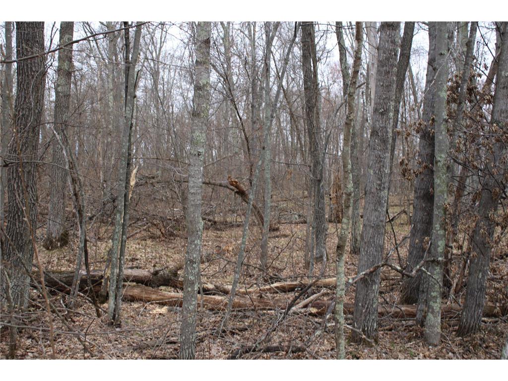 TBD St. Moritz Boulevard Breezy Point MN 56472 7062546 image2