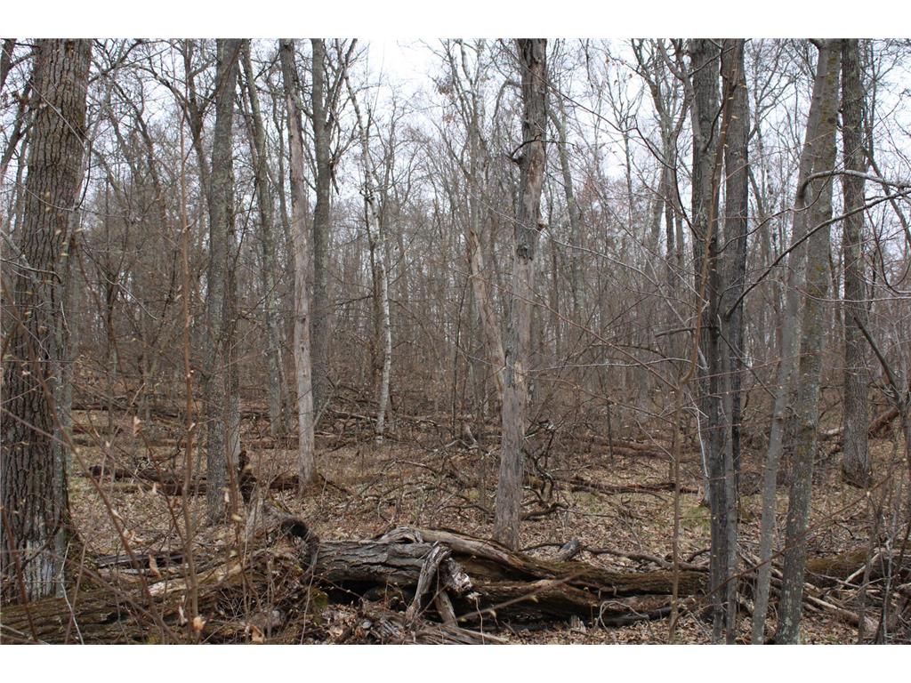 TBD St. Moritz Boulevard Breezy Point MN 56472 7062546 image3