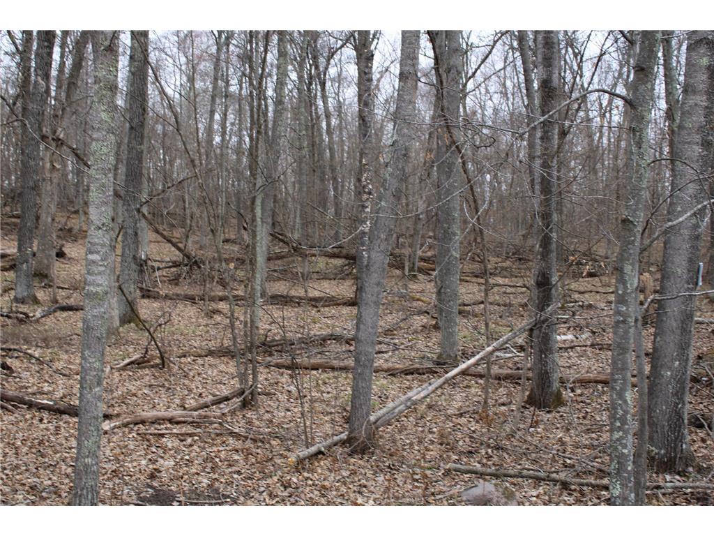 TBD St. Moritz Boulevard Breezy Point MN 56472 7062546 image4