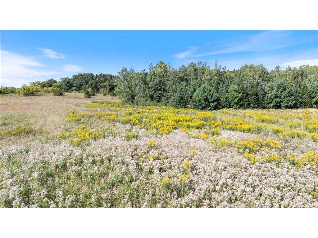 TBD Stark Lane Road Harris MN 55032 6775565 image8