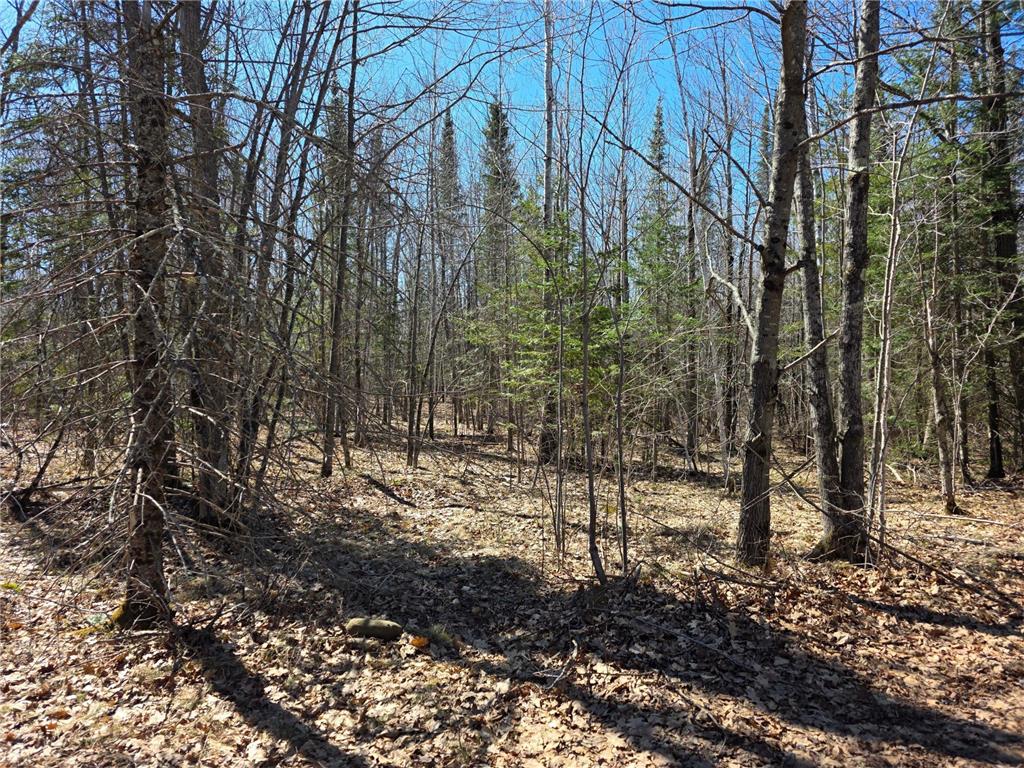 TBD Stark Road Cloquet MN 55720 7044220 image1