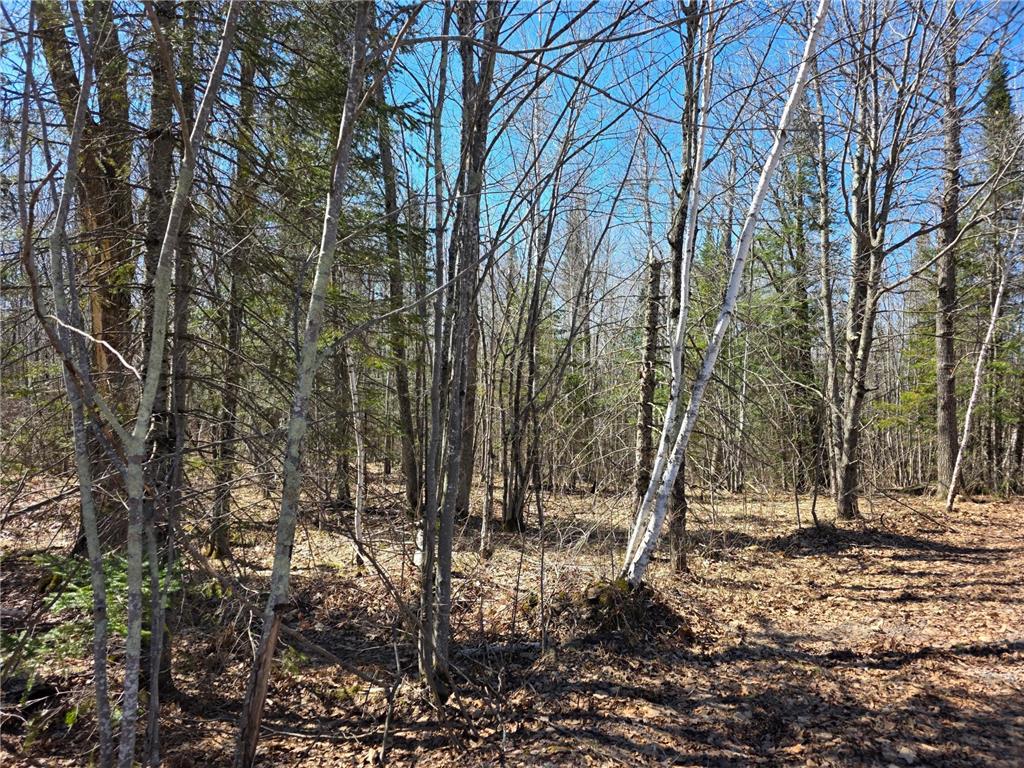TBD Stark Road Cloquet MN 55720 7044220 image3