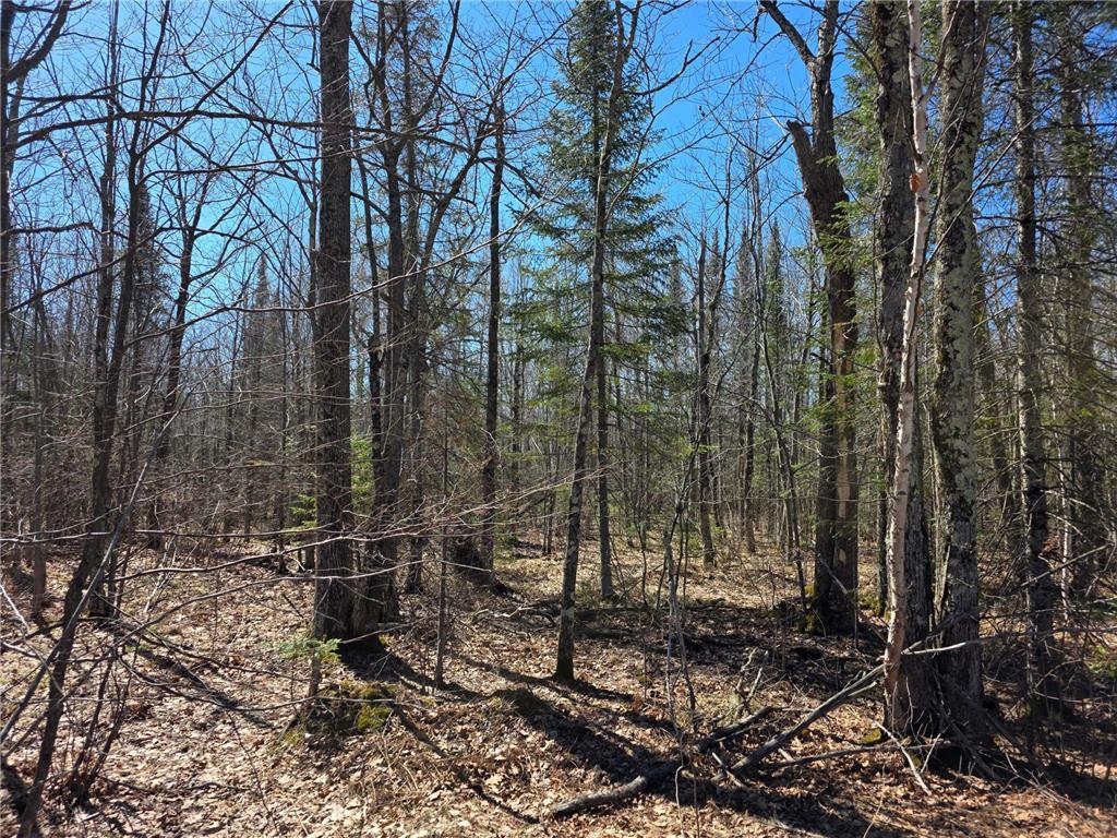 TBD Stark Road Cloquet MN 55720 7044220 image4