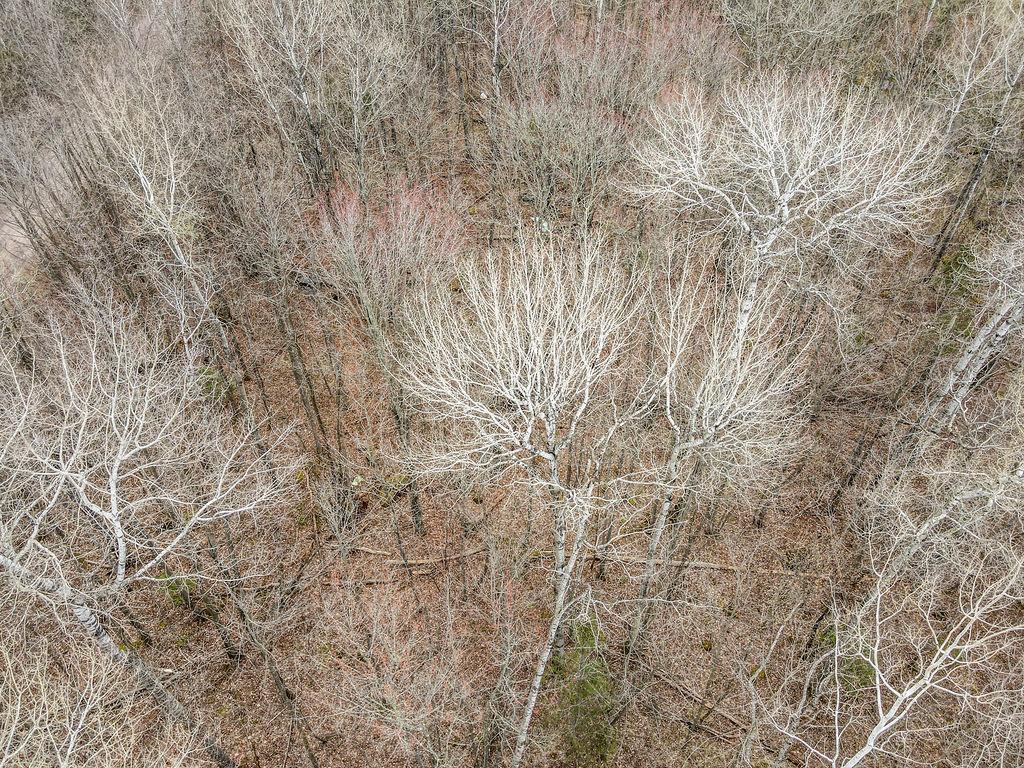 TBD Stark Road Cloquet MN 55720 7044220 image7