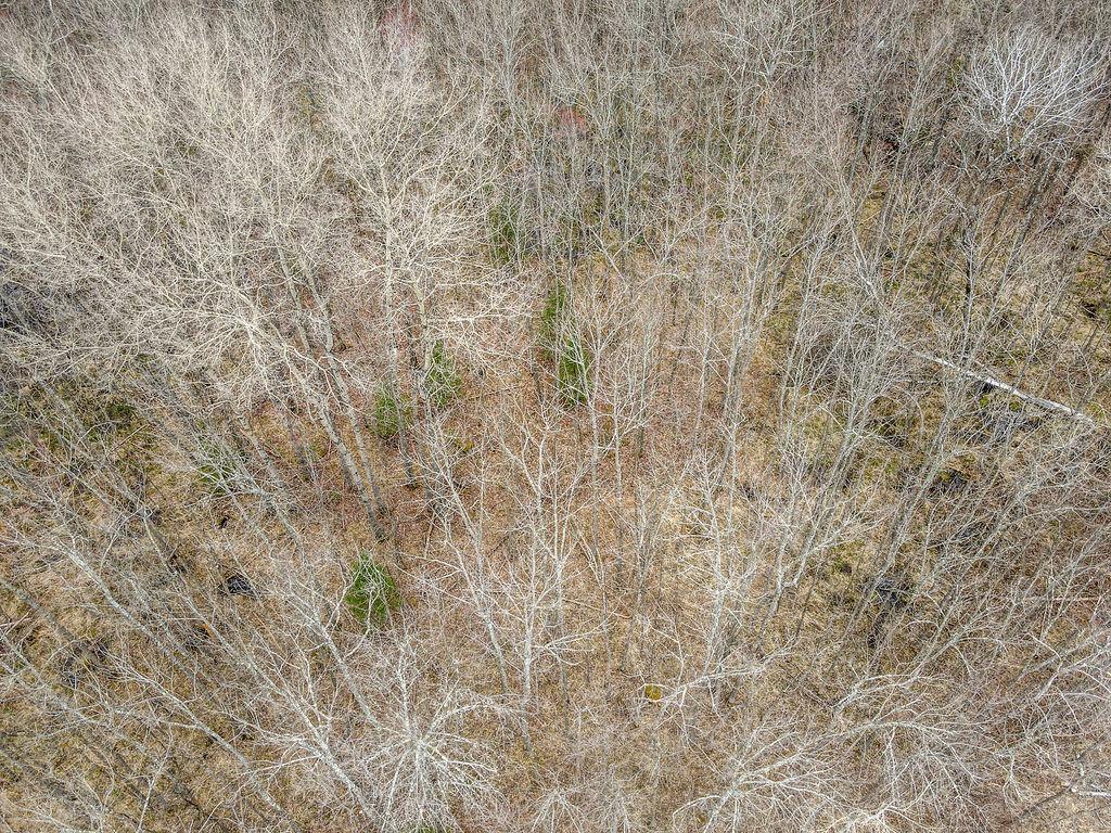 TBD Stark Road Cloquet MN 55720 7044220 image8