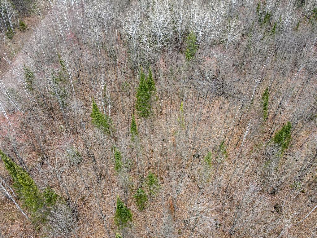 TBD Stark Road Cloquet MN 55720 7044220 image9