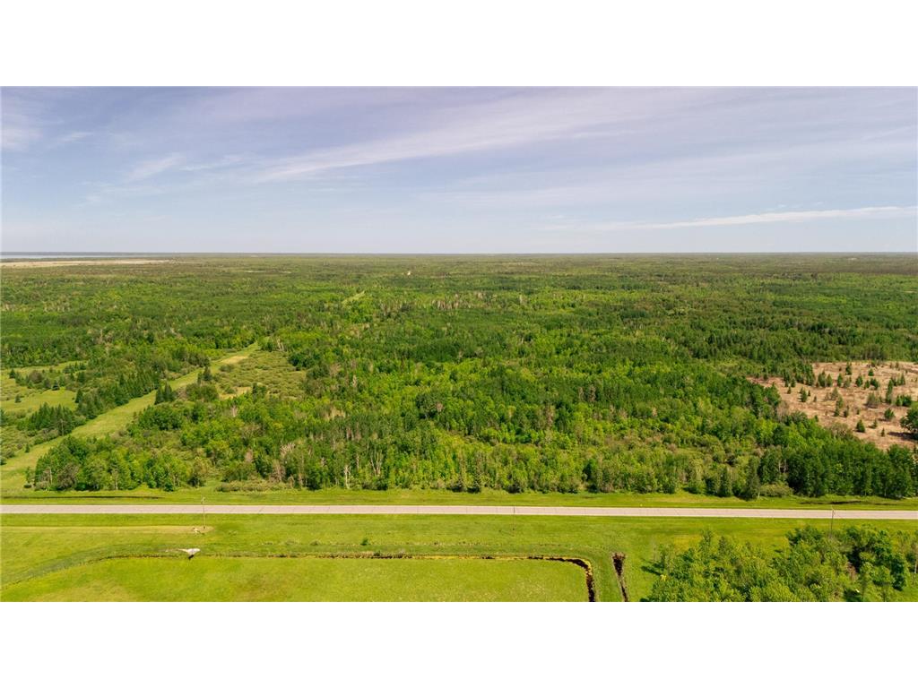 TBD State 1 Highway NE Blackduck MN 56630 6554041 image1